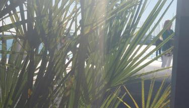 Vivito apartment - Photo 4