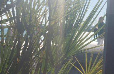 Vivito apartment - Foto 4