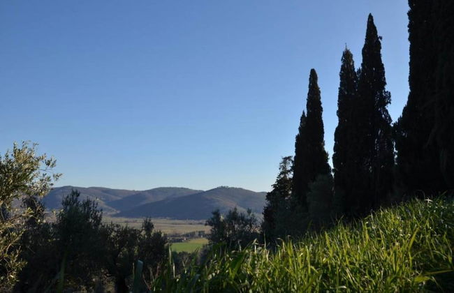 Holiday Home in Cortona With Pool - Foto 32