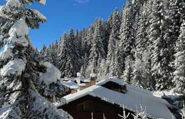 La finestra sul Brenta - Campiglio - Foto 26