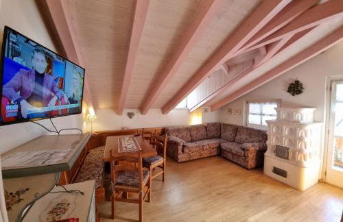 Cesa Alegra - Foto 4