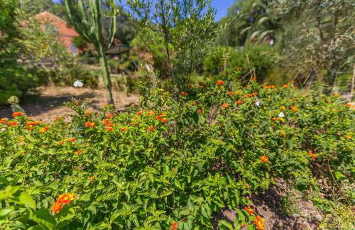 Casa Pájaro Colores in Bolonia - Foto 78