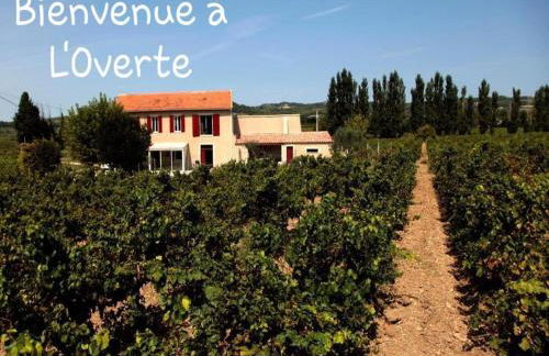 Holiday Home in Rasteau with Private Pool - Foto 40