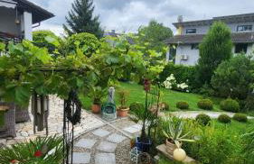 Whole Apartment Marechal near zurich airport free Parking Wifi - Foto 1