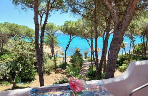 lamarzellina - Foto 1