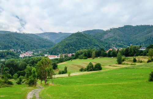 Haus am Rand des Harz - Foto 36