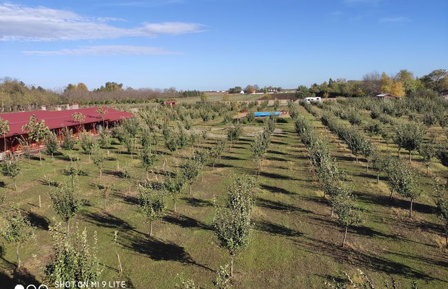 Salas Farma 47 - Photo 47