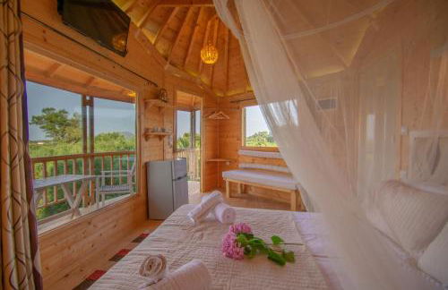 Zante Lagos holiday homes Treehouse and Villa - Foto 40