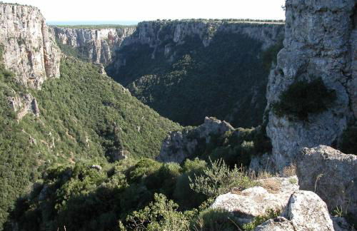 Masseria La Gravina - Foto 11