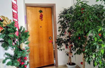 Delphic Horizons - Foto 43