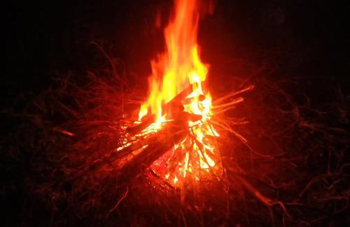 Owocowa Chojnata - Foto 14