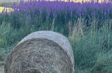 Chalet cosy à la montagne - Foto 38