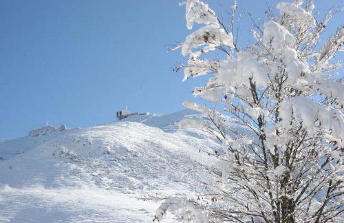 Chalet les Eglantines - Foto 18