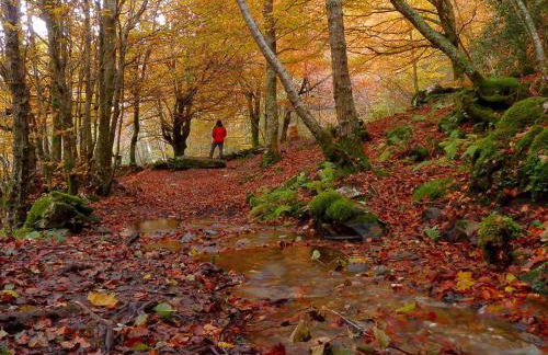 Casa de Abril 1 - Foto 48