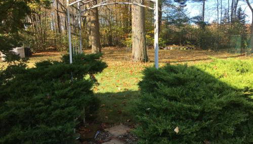 Home Sweet Home - Foto 2