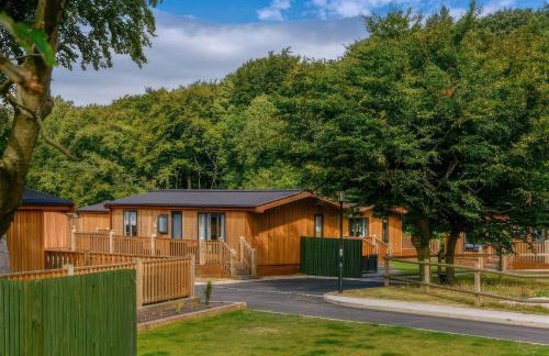 Dovestone Luxury Lodges sleeps 4 - pets welcome - Foto 1