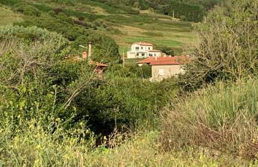 Casa Paloma - Foto 44