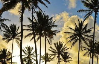 Barravilha Chales - Foto 19