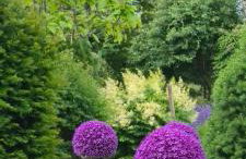 Sowi Dworek - Foto 11