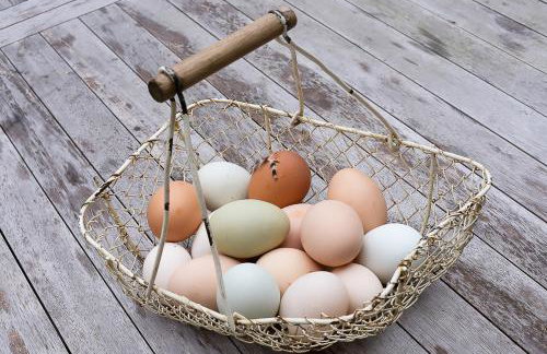 Laverstock Cottage - Photo 14