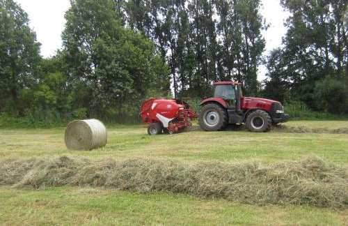 Die Spreewaldbetten - Bauernhof - Photo 14
