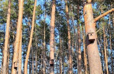 Pożarowo domek na mazowszu - Foto 3