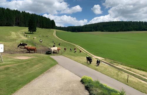 Beierleshof - Foto 8