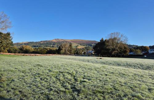 Little Plas - Foto 5