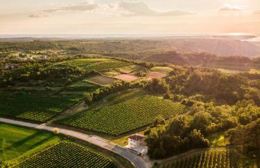 Villa Kanedolo - Foto 19