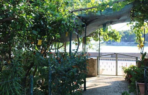 Apartman Antea, Sućuraj Hvar - Foto 52