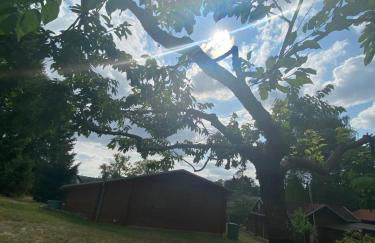 Eichberg Ferienhäuser - Foto 58