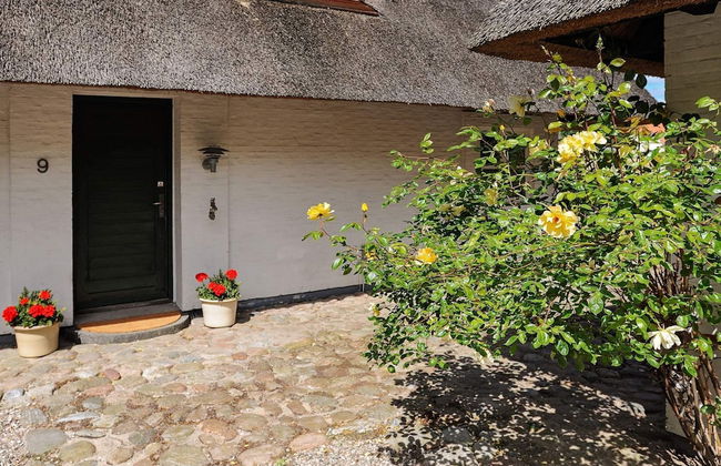 Seaside Charm in Baring - By Traum Ferienwohnungen - Foto 31