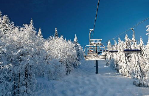 Ferienwohnung Holzinger - Foto 30