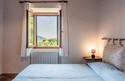 Fattoria di Pietrabuona - Foto 79