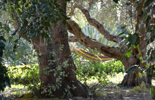 Villa Titì - Foto 28