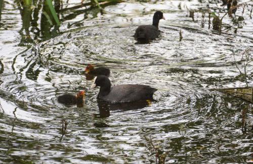 Sleep Space 3 - Green Tiny Spot Südpfalz - Foto 17