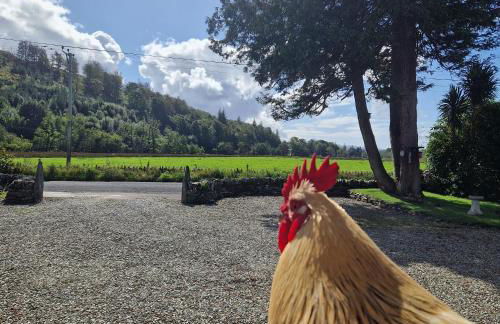 Siskin Cottage - Foto 14