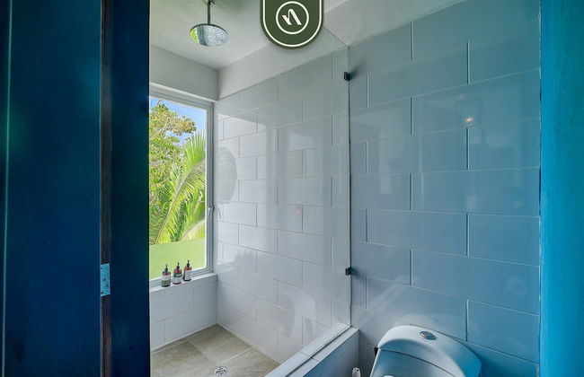 La Japihua in Jalisco - Foto 29