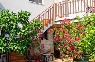 Little App - magical surrounding - Foto 49