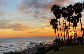 Residencial Algaida - Photo 13