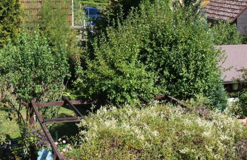 Ferienwohnung Köhler - Photo 21