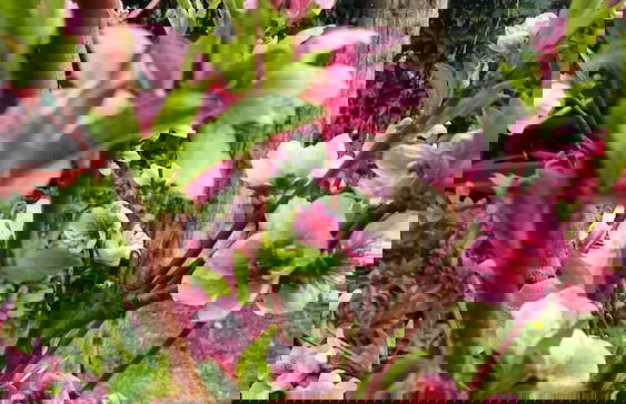 Agriturismo Il Colle - Foto 25