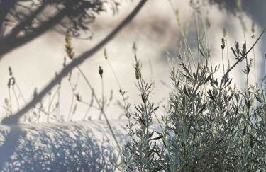 Agreli House - Foto 31