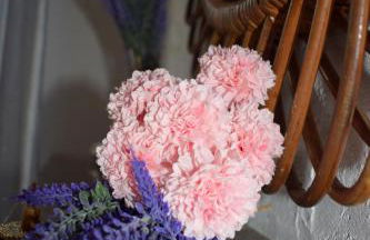 Il Giardino di Gio' - Foto 26