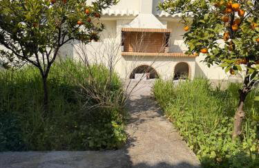 Apollon Heritage House - Photo 6