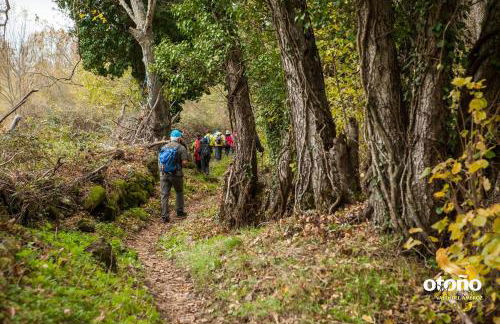 Casa Rural ARBEQUINA & Esquí La Covatilla - Foto 16