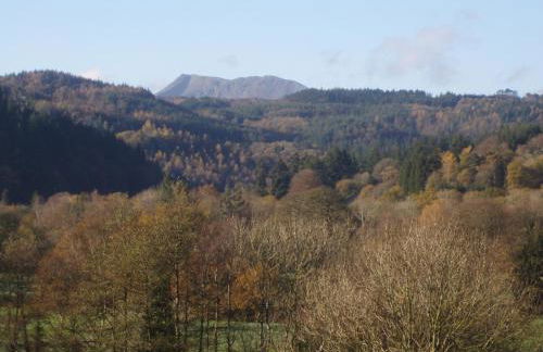 Glanrhyd cottage - Foto 11