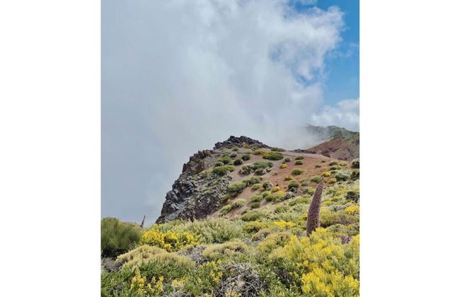 Apartment in La Punta de Tijarafe - Foto 20