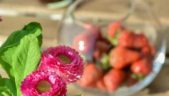 Apartmani Perić 1 Meka Draga - Foto 2