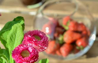 Apartmani Perić 1 Meka Draga - Foto 2